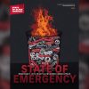 National Urban League Declares' State of Emergency' for Black America in 2025 Report