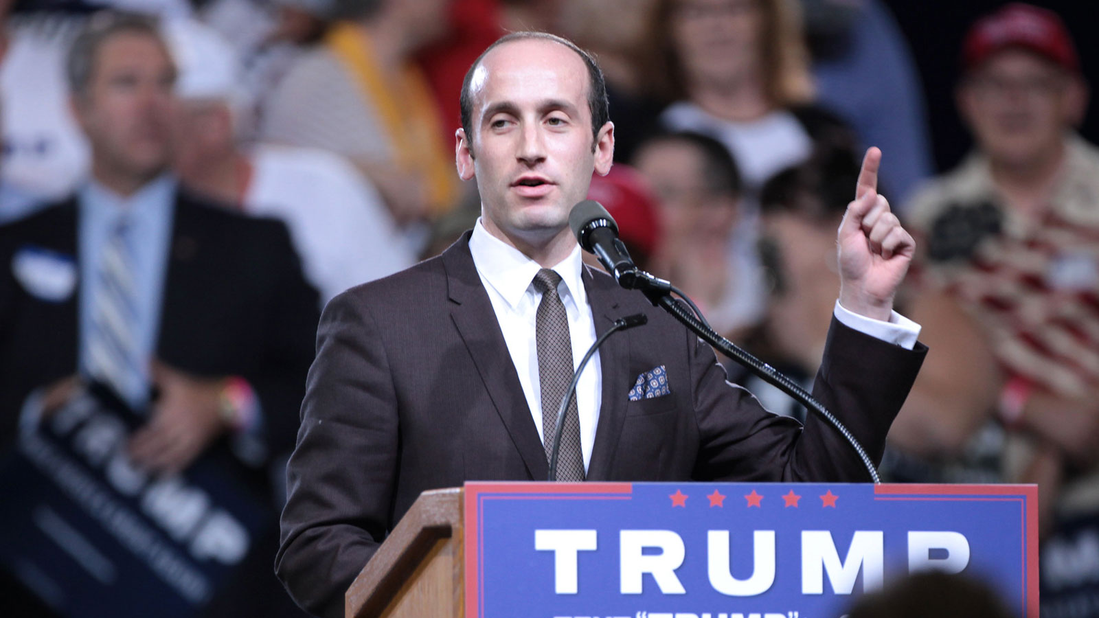 Stephen Miller speaks at a campaign rally. Photo: Gage Skidmore (CC BY-SA 2.0).