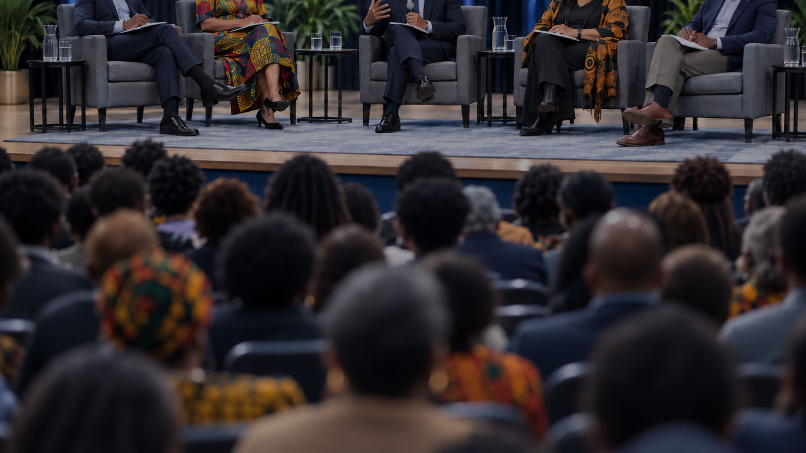 Virtual Post-Election Town Hall Meeting — November 10, 2026