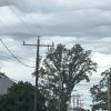 Power lines.